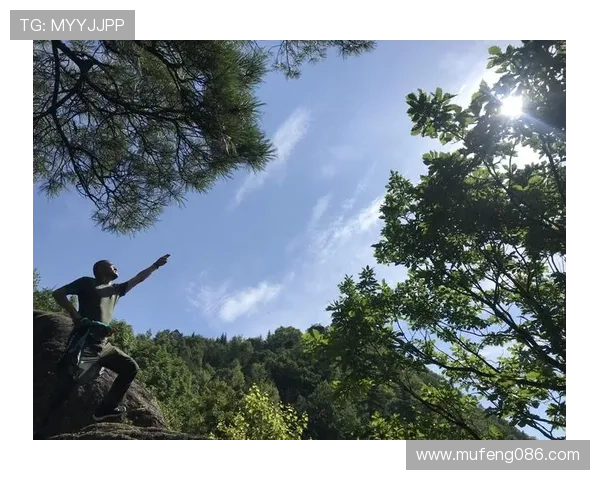 围绕种子队分档规则解析赛事格局与晋级前景展望全面解读与战略影响 - 副本