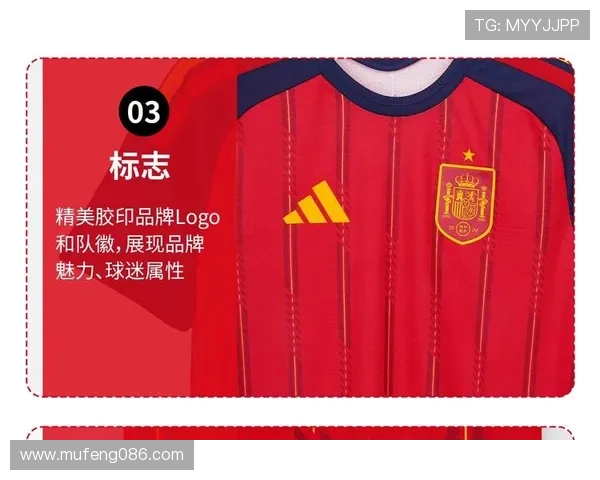 深度解析球员版球衣与市售版本的核心区别与选购要点六大细节全面对比 - 副本 (2)