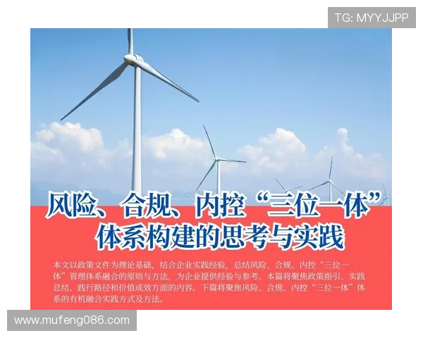 聚焦企业发展与风险防控的合同续约策略与实践路径探索高质量合规管理 - 副本 - 副本 (3)