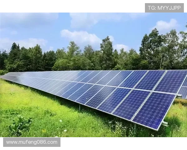 聚焦体育产业变革浪潮下的资本布局与创新发展新动向全球态势前瞻 - 副本 (5)